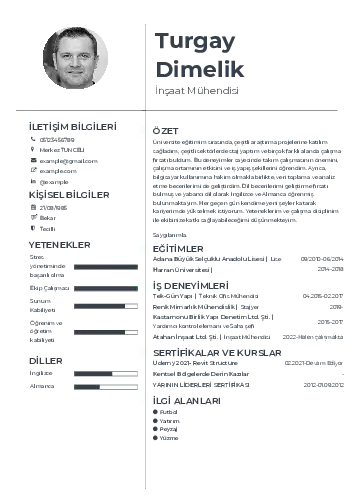 İnşaat Mühendisi Cv Örnekleri cv indir